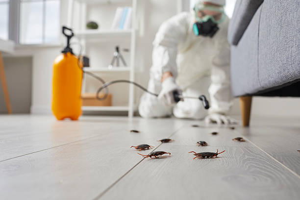 Trusted Rodent Control service in West Hattiesburg, MS - Nex Pest Control