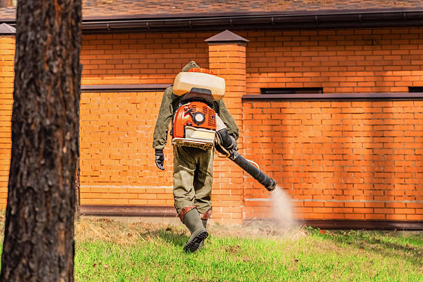 Trusted Emergency Pest Control service in West Hattiesburg, MS - Nex Pest Control